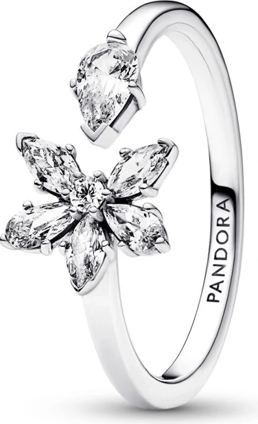 Pandora 192611C01