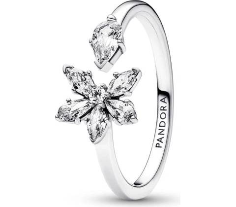 Pandora 192611C01