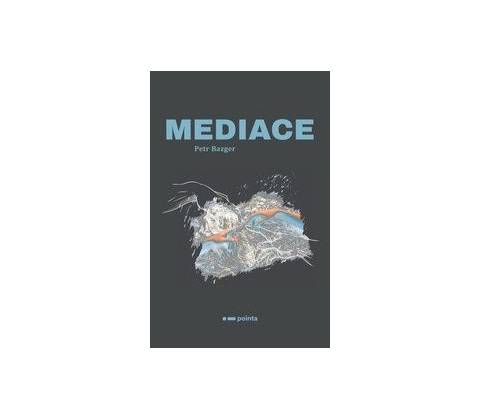 Mediace - Petr Bazger