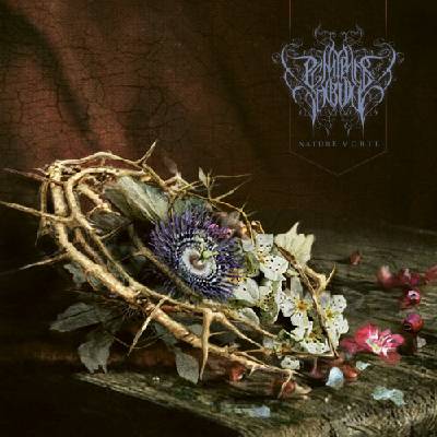 Penitence Onirique - Nature Morte CD