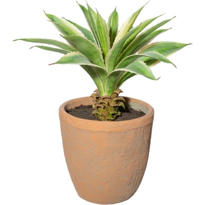 Gasper Umělá rostlina Agáve, 35 cm