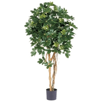 Umelá rastlina Schefflera ball 140 cm