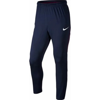 Nike Dry Squad MCFC