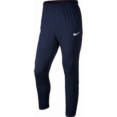 Nike Dry Squad MCFC