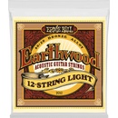 Ernie Ball 2010