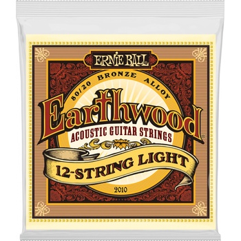 Ernie Ball 2010