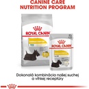 Kapsičky pre psov Royal Canin Dermacomfort 12 x 85 g