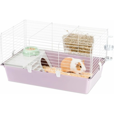 Ferplast GUINEA 80 klietka pre morča fialová 77 x 48 x 42 cm