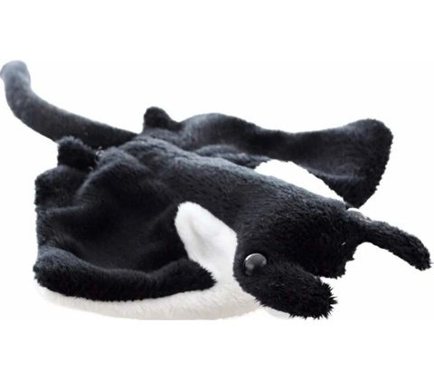Manta
