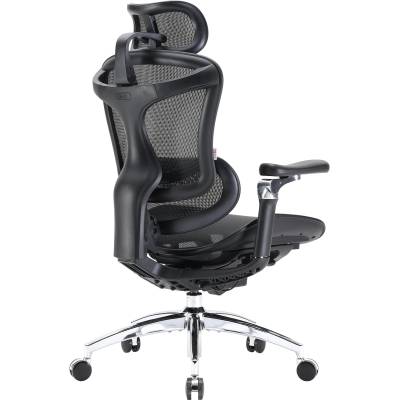 Anda Seat Геймърски стол Anda Seat DORO C300 Pro Mesh в черно (DORO-C300-PRO-M101)