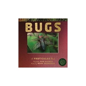Bugs - Dan Kainen