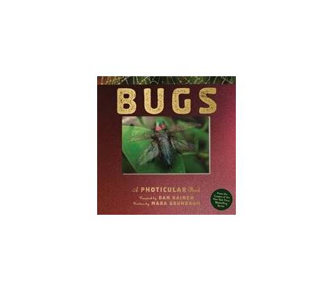 Bugs - Dan Kainen