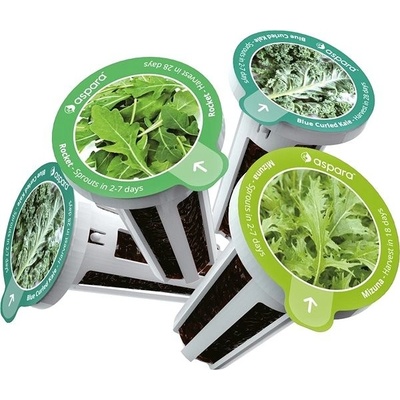 Sazenice Aspara Seed Kit Speciální Výběr Salátů (KSS0001)