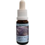 PHI Essences Детоксикация - Есенция Физалия (Португалска галера) № 4, капки 15 ml (4 SEA)