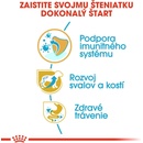 Royal Rottweiler Puppy 12 kg