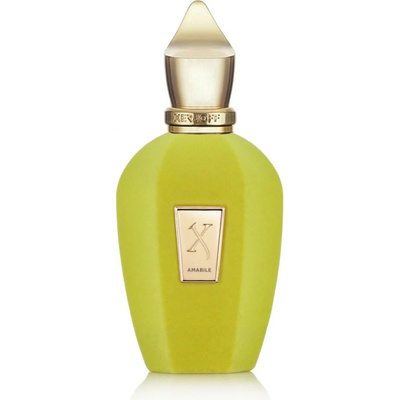 Xerjoff " V " Amabile parfumovaná voda unisex 100 ml tester