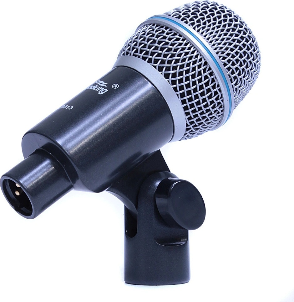 Soundking ED 013