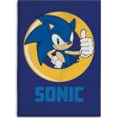 Aymax Detská deka Ježko Sonic