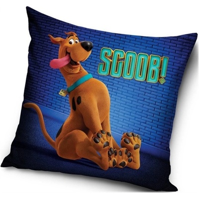 Carbotex Vankúš SCOOB! motív Scooby Doo 40x40