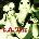 T. A. T. U T. A. T. U. - 200 Km /h In The Wrong Lane (Green/Gold Nugget Split Splatter Coloured) (LP) (0602475753964)