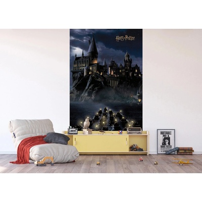 Ag Design FTD2P-5621 Dětská vliesová fototapeta na zed' Harry Potter První Rok v Bradavicích, rozměry 150 x 270 cm