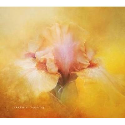 Hartwin Dhoore - Unfolding (LP) (6096418925923)