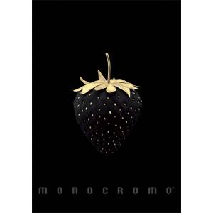 Pigna Monocromo Gold A4 с телбод 38 страници карирана тетрадка P1111-1857 (P1111-1857)