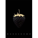 Pigna Monocromo Gold A4 с телбод 38 страници карирана тетрадка P1111-1857 (P1111-1857)