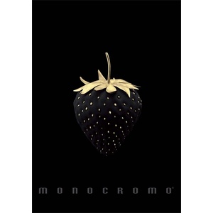 Pigna Monocromo Gold A4 с телбод 38 страници карирана тетрадка P1111-1857 (P1111-1857)