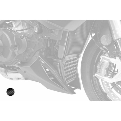 PUIG Engine Spoiler PUIG 22899C karbónový vzhľad