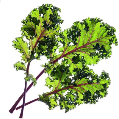 Click & Grow Семена Click and Grow Червен Кейл, 9 броя