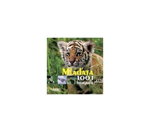 Mláďata