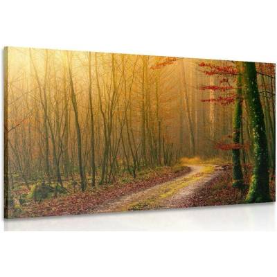 Obraz cestička do lesa - 40x30