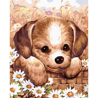 Zuty Диамантено рисуване Кученце (D00-040-050-93022)