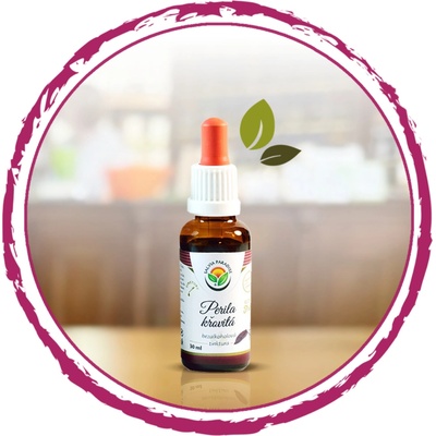 Salvia Paradise Perila křovitá AF tinktura 50 ml