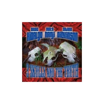 Hidalgo/Nanji/Dickinson - 3 Skulls And The truth CD