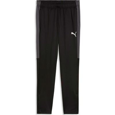 Puma INDIVIDUALLIGA TRAINING PANTS černá Šedá Bílá