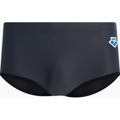 Arena Icons Swim Low Waist Short Panel šedá 005052 /550