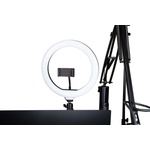 Gator Frameworks ID Series Creator Tree Ring Light Fixture (GFW-ID-CTRINGLIGHT)