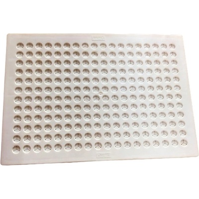 Quercetti Filó Boards School 12439