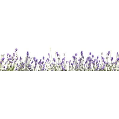 mySPOTTI SP-F2-1815 Samolepiaca PVC tapeta do kuchyne Splash levanduľa Lilou 2800 x 600 mm