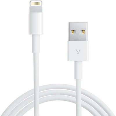 Apple MD818/ZM/A Lightning iPod, Apple, 1m