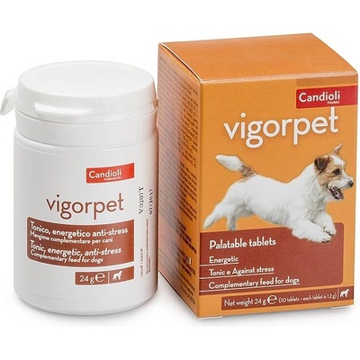 Candioli Vigorpet Dogs Tablety 20 ks