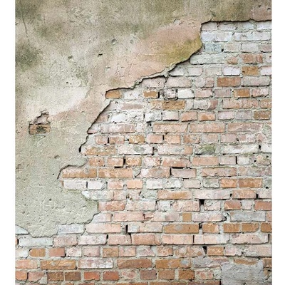Dimex MS-3-0168 vliesová fototapeta rozměry 225 x 250 cm
