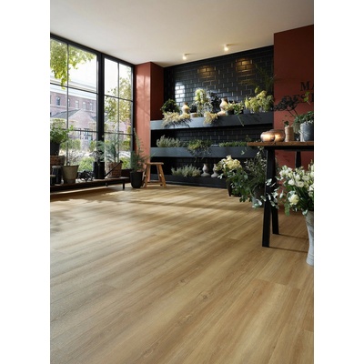 Wineo 800 Wood XL Bradford oak honey DB835WXL 4.24 m2