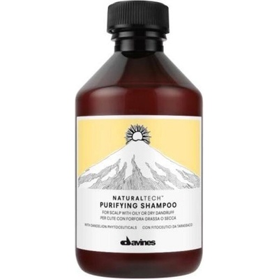 Davines Naturaltech Purifying Shampoo 100 ml – Hledejceny.cz