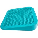 FitPAWS Ramp
