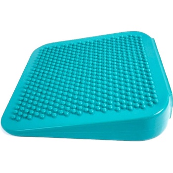 FitPAWS Ramp
