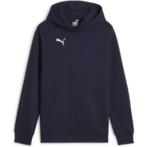 PUMA Teamgoal casuals hoody jr 176