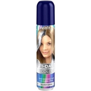 1-day Color barevný spray na vlasy stříbrná 50 ml